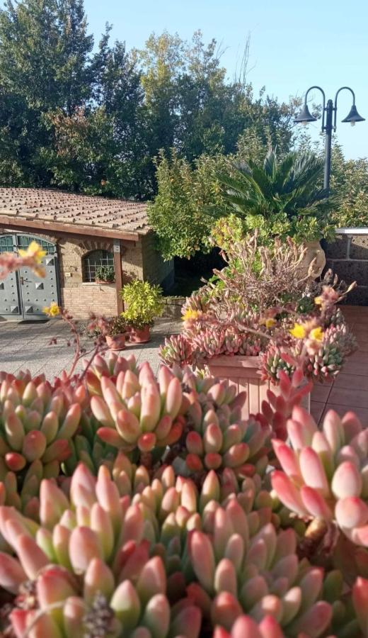 La Casa Sull'Aia,Av Panzió Santo Stefano del Sole Kültér fotó