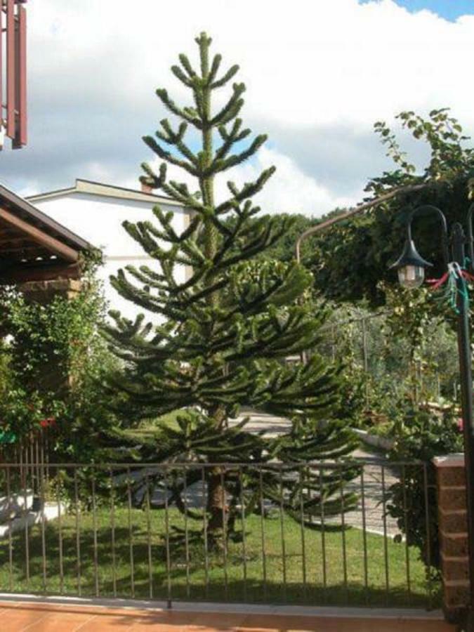 La Casa Sull'Aia,Av Panzió Santo Stefano del Sole Kültér fotó
